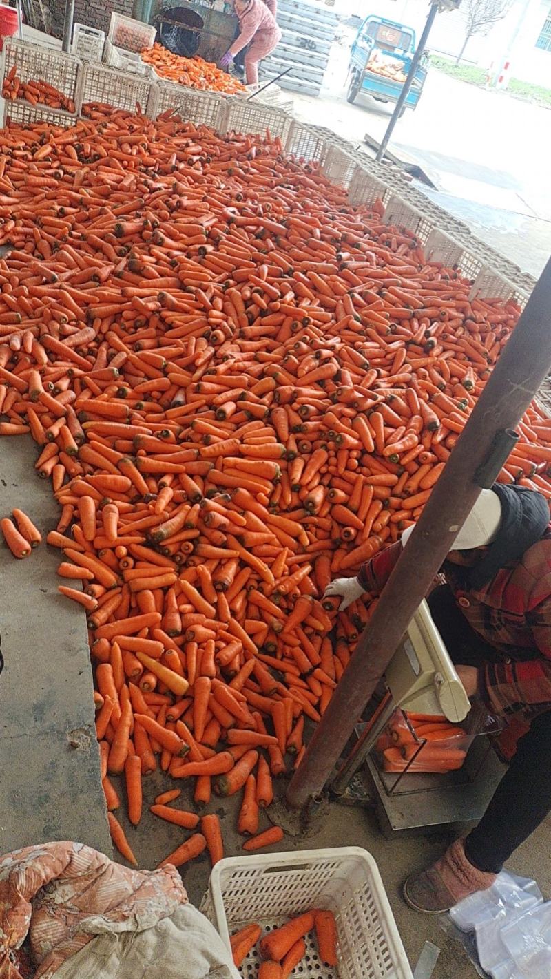 大量供应！