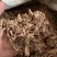 【包邮】宁夏地骨皮中药材诚信经营品质保证欢迎下单订购