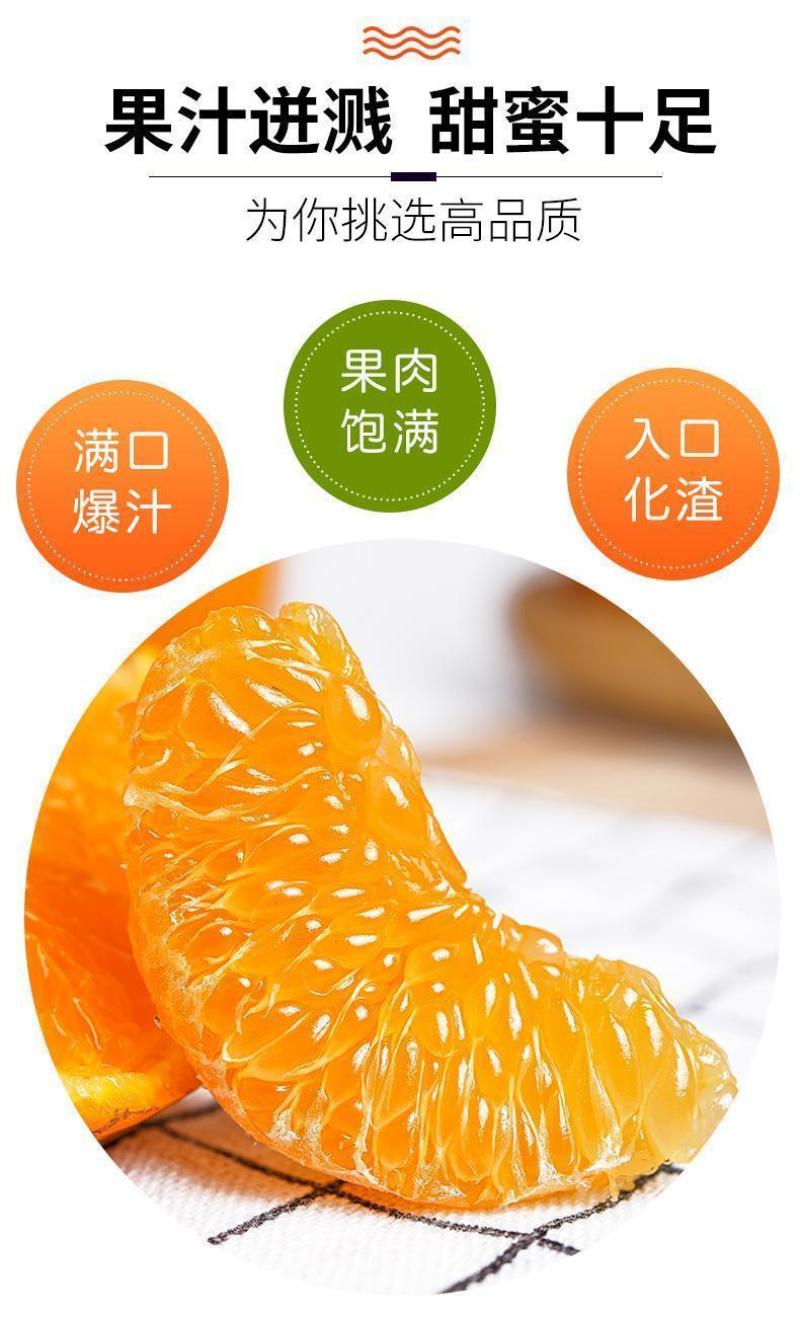 正宗四川蒲江春见耙耙柑对接各平台电商一件代发包邮包售后