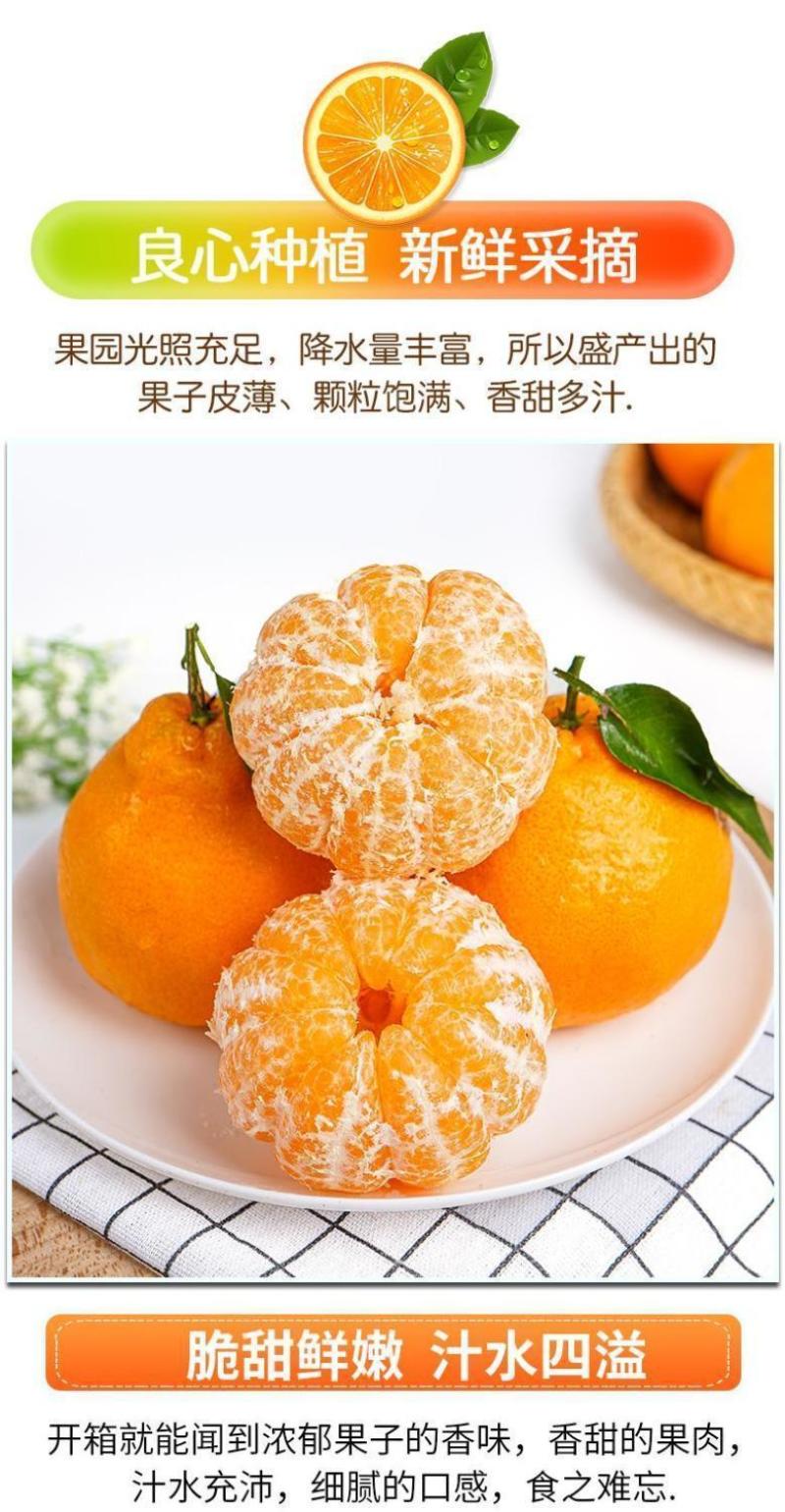 正宗四川蒲江春见耙耙柑对接各平台电商一件代发包邮包售后