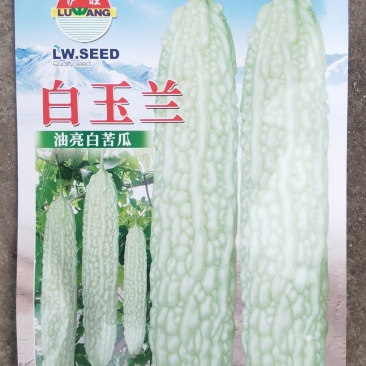 苦瓜种子白玉兰绿白色中长油亮瓜条顺直结瓜早产量高