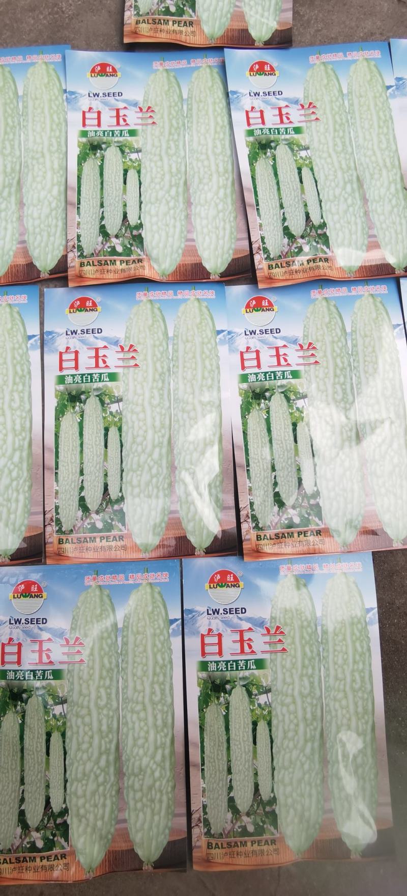 苦瓜种子白玉兰绿白色中长油亮瓜条顺直结瓜早产量高