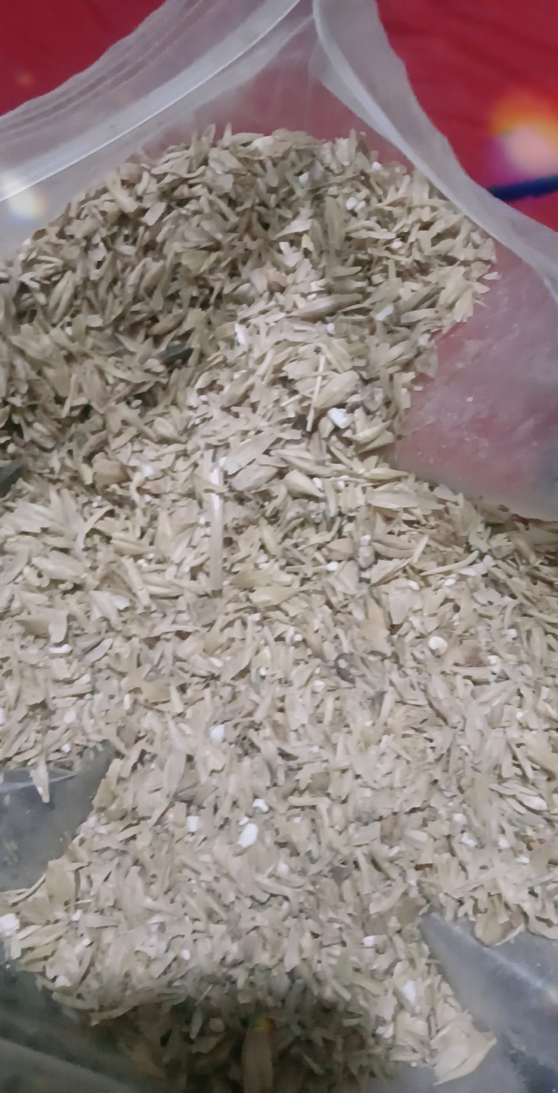 大麦芽根，大麦芽糠，