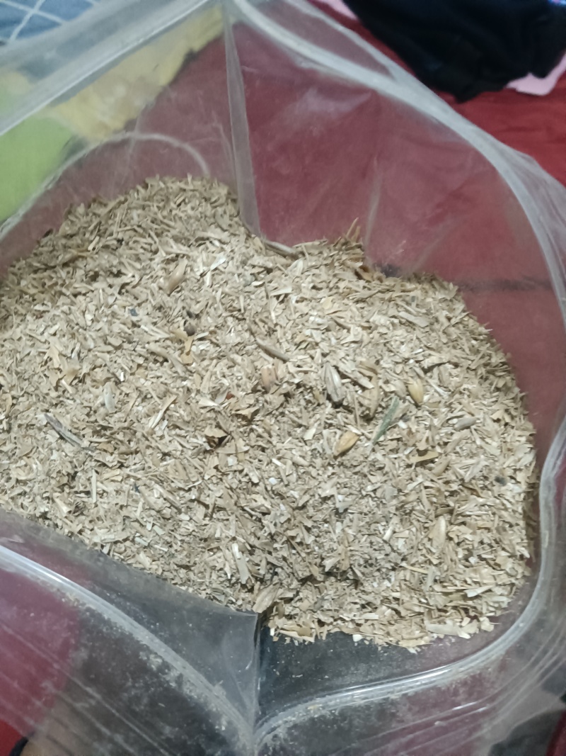 大麦芽根，大麦芽糠，