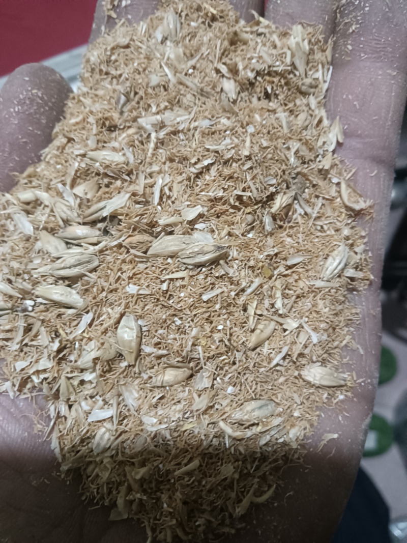 大麦芽根，大麦芽糠，