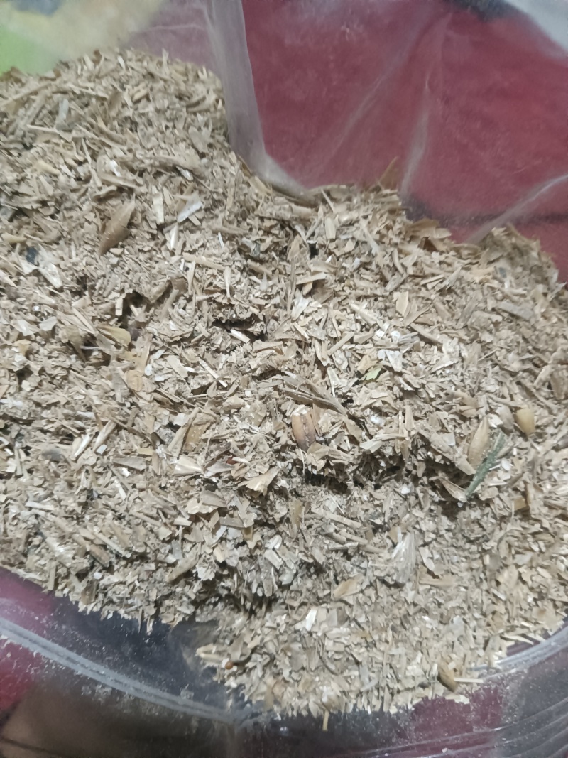 大麦芽根，大麦芽糠，