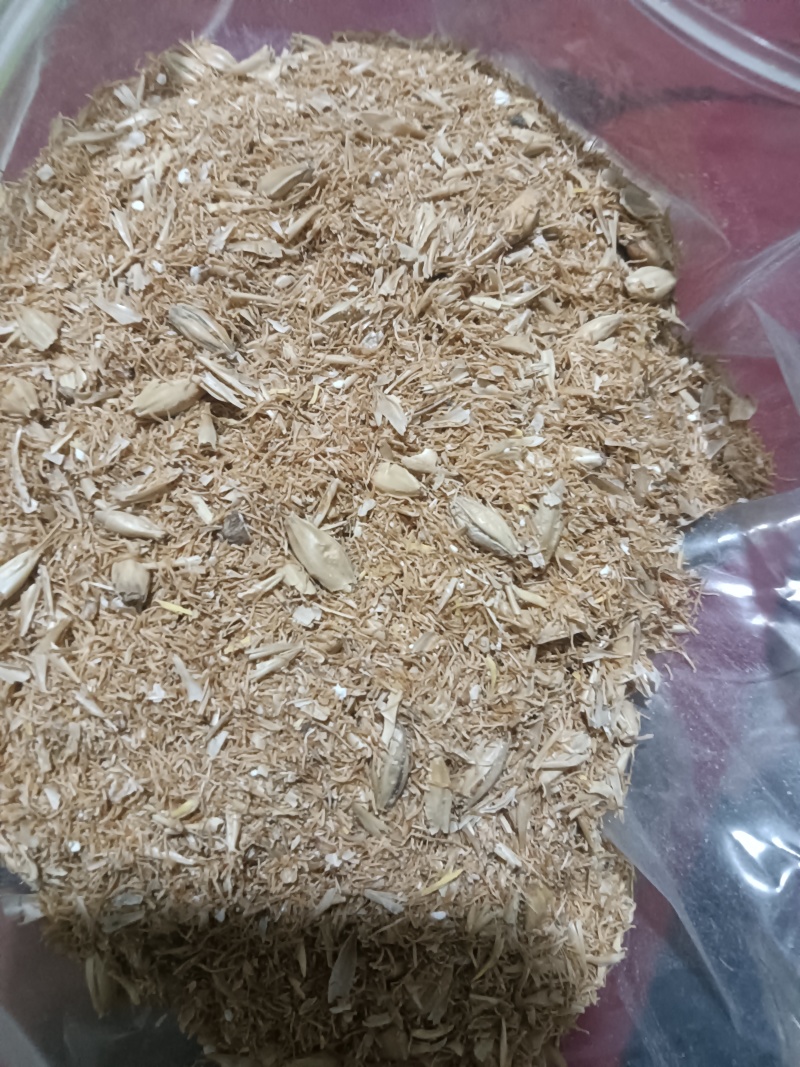 大麦芽根，大麦芽糠，
