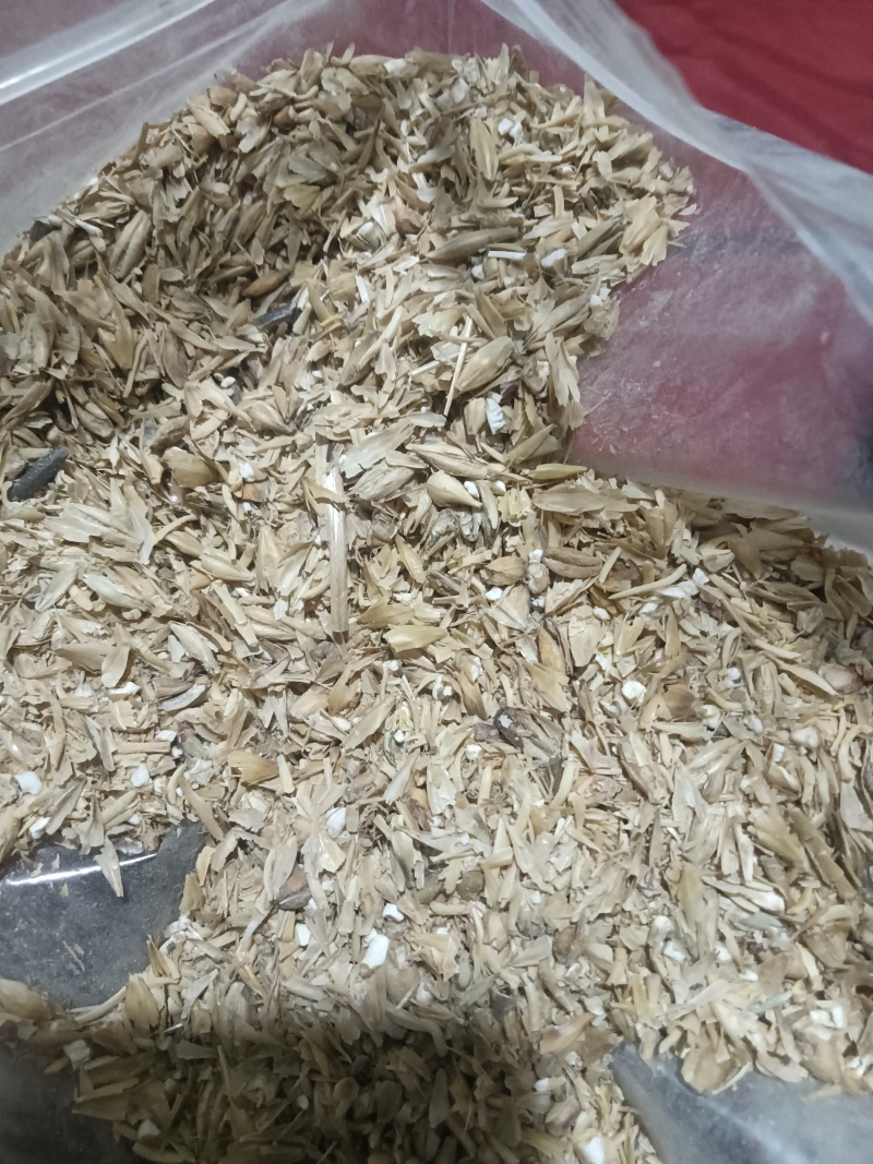 大麦芽根，大麦芽糠，