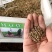 无芒雀麦种子披碱草碱茅草紫羊茅四季种养牛红豆草碱草羊草种