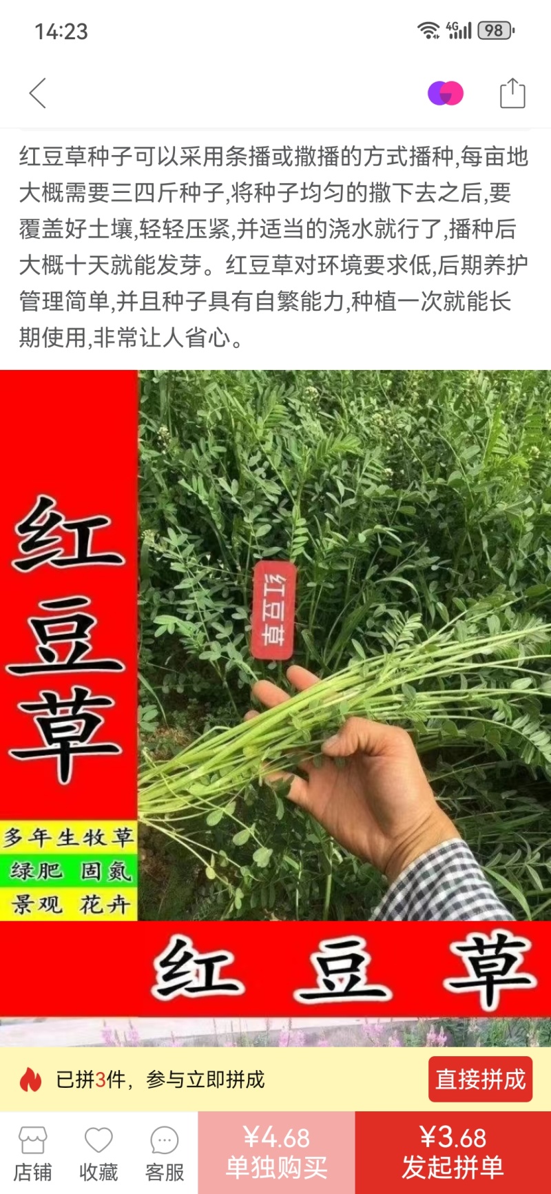 无芒雀麦种子披碱草碱茅草紫羊茅四季种养牛红豆草碱草羊草种