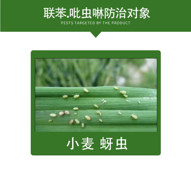 新长山27%联苯吡虫啉蚜虫介壳虫茶小绿叶蝉杀虫剂
