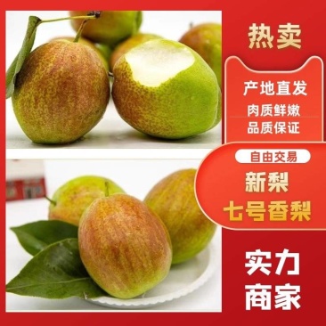 【精品】新梨七号皮薄产地直发货源充足欢迎咨询合作