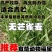 无芒雀麦种子多年生耐寒草四季青畜禽牧草籽猪牛羊驴鸡鹅兔鱼