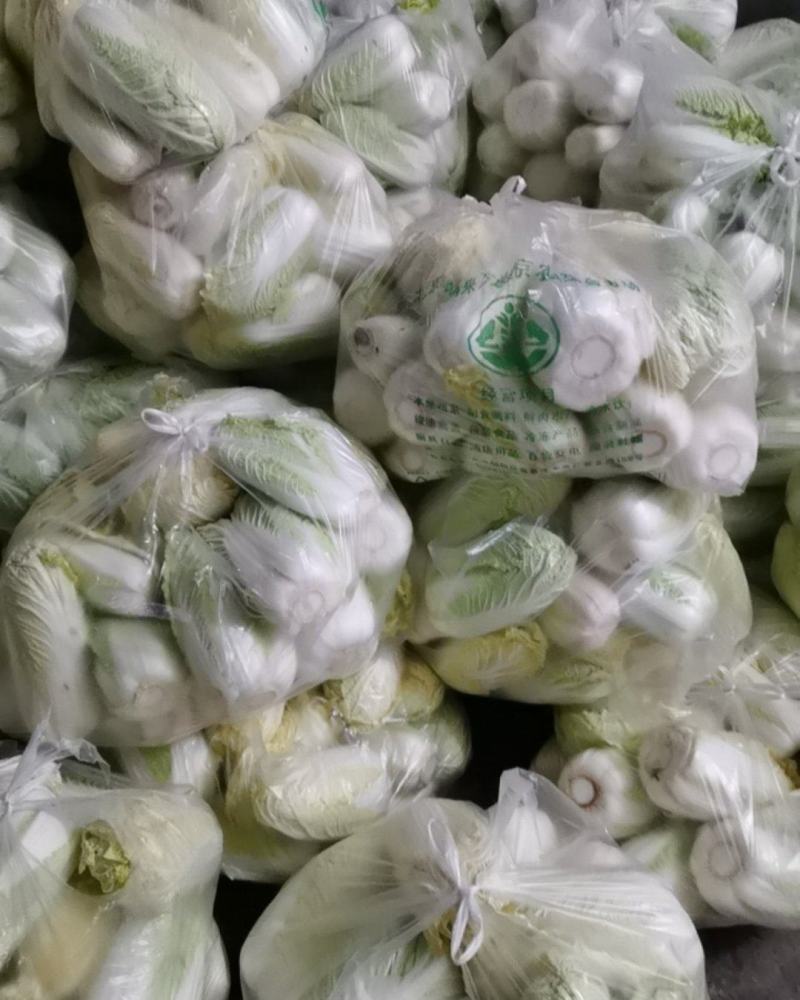 娃娃菜6元20斤50亩地