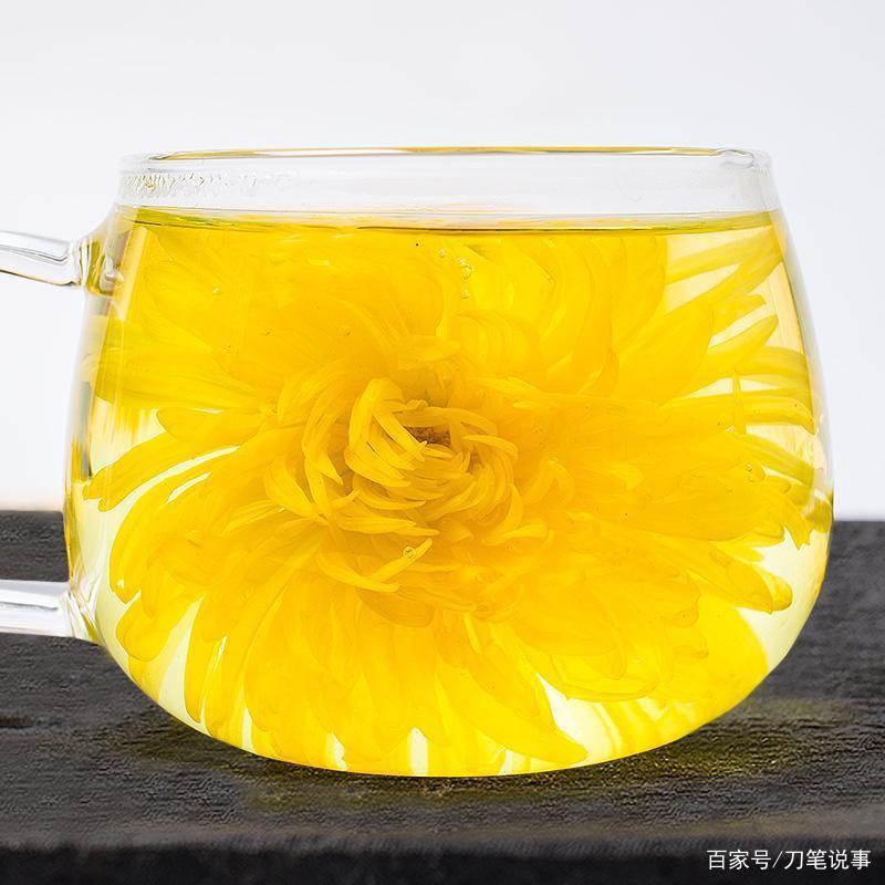 金丝黄菊简约礼盒袋装一袋100泡送礼实惠倍有面