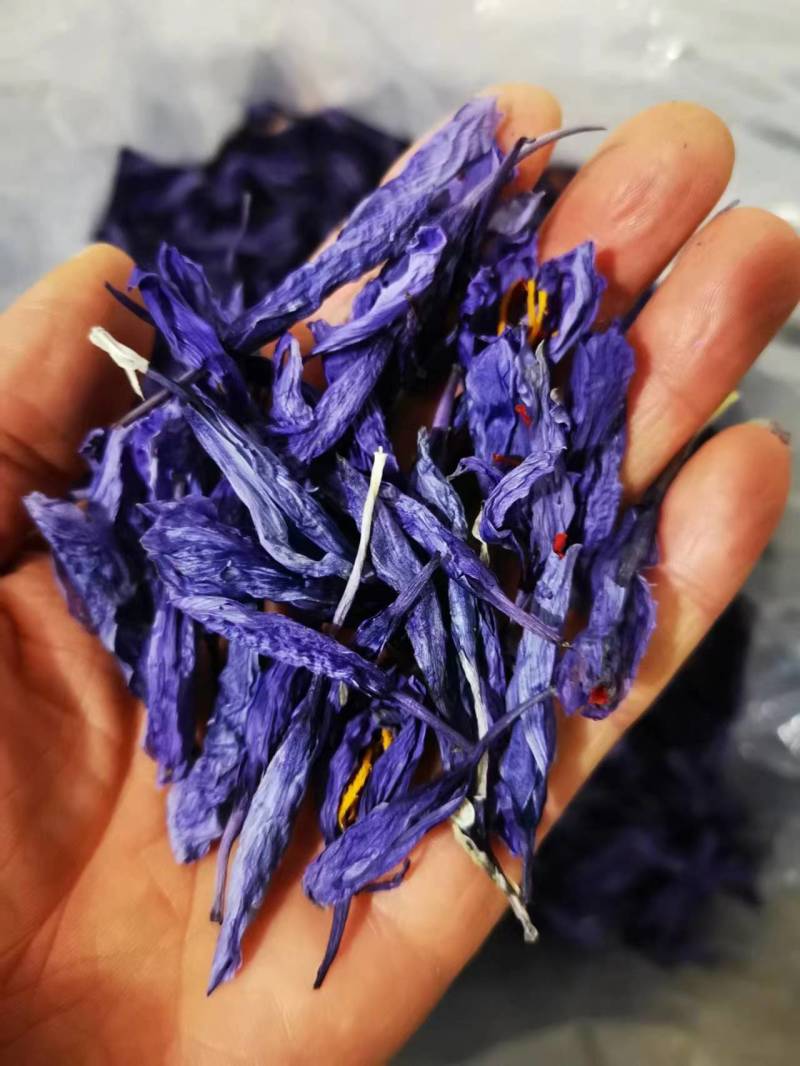 藏红花花朵炖大鹅炖东北老母鸡炖老母鸡味道清纯营养丰富
