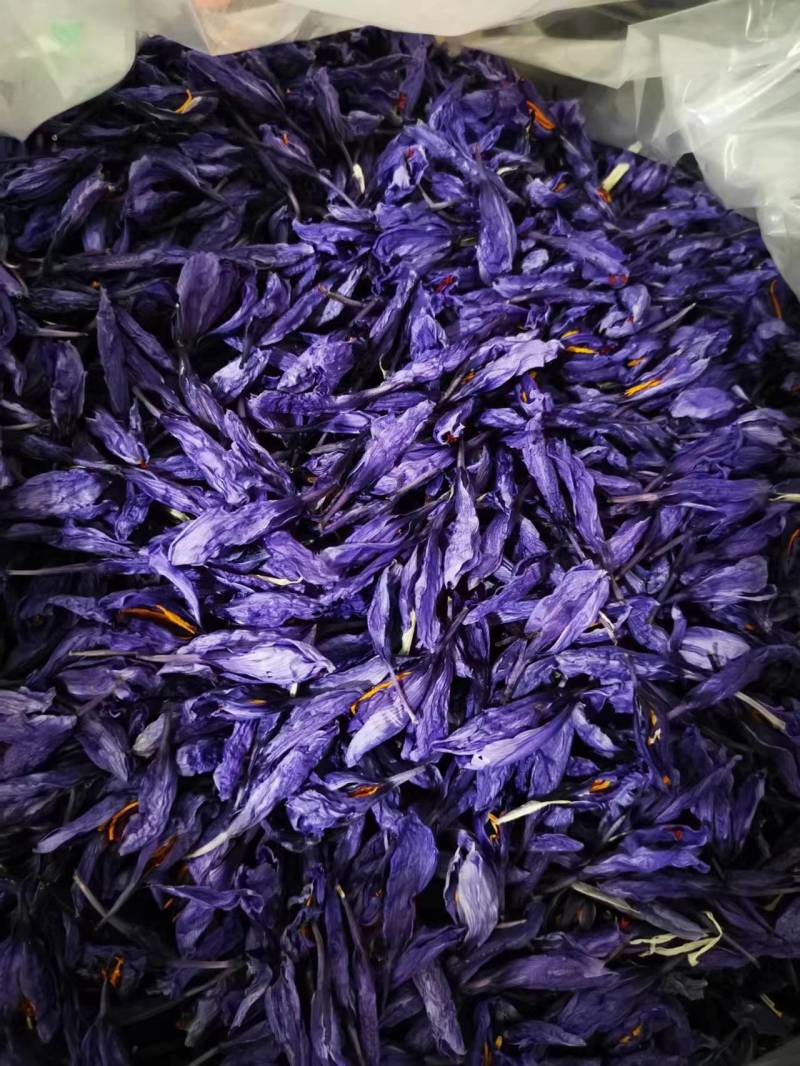 藏红花花朵炖大鹅炖东北老母鸡炖老母鸡味道清纯营养丰富