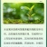 联合44%氯氰丙溴磷棉花棉铃虫氯氰菊酯农药杀虫剂现货批发