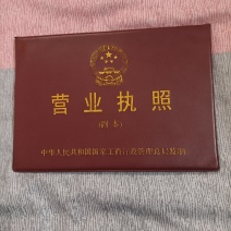 新品种桃树苗