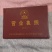 新品种桃树苗