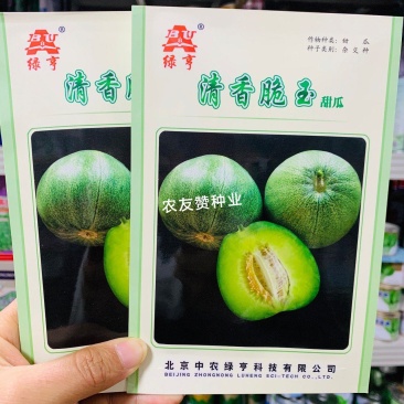 高品质薄皮甜瓜种子清香脆玉甜瓜种子绿皮绿肉高糖甜瓜种籽
