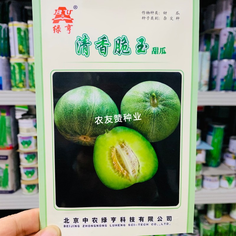 高品质薄皮甜瓜种子清香脆玉甜瓜种子绿皮绿肉高糖甜瓜种籽
