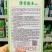 高品质薄皮甜瓜种子清香脆玉甜瓜种子绿皮绿肉高糖甜瓜种籽