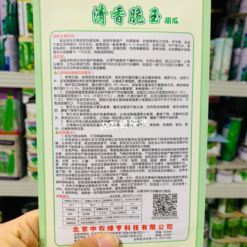 高品质薄皮甜瓜种子清香脆玉甜瓜种子绿皮绿肉高糖甜瓜种籽