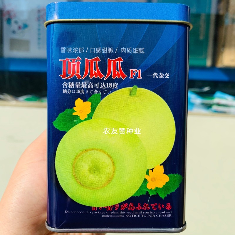 高品质甜宝甜瓜种子高糖甜如蜜甜瓜顶瓜瓜甜瓜种子香甜可口