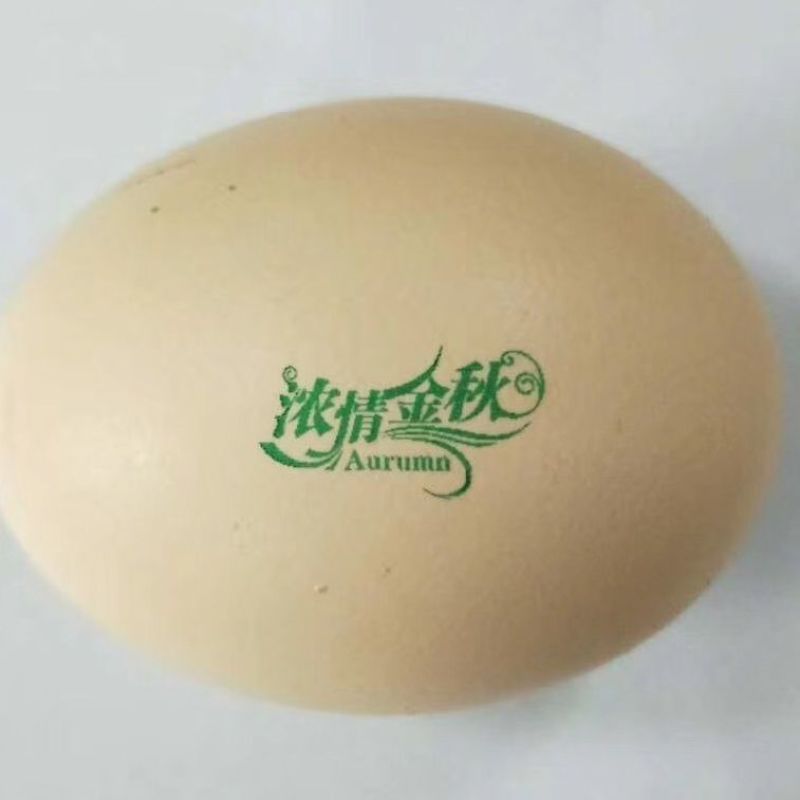 富硒鸡蛋喷码鸡蛋支持定制喷码，支持一件代发