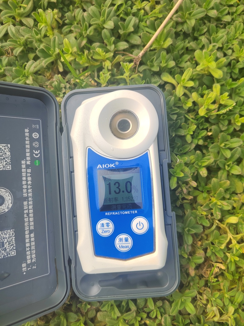 纯甜耙耙柑还有60w斤