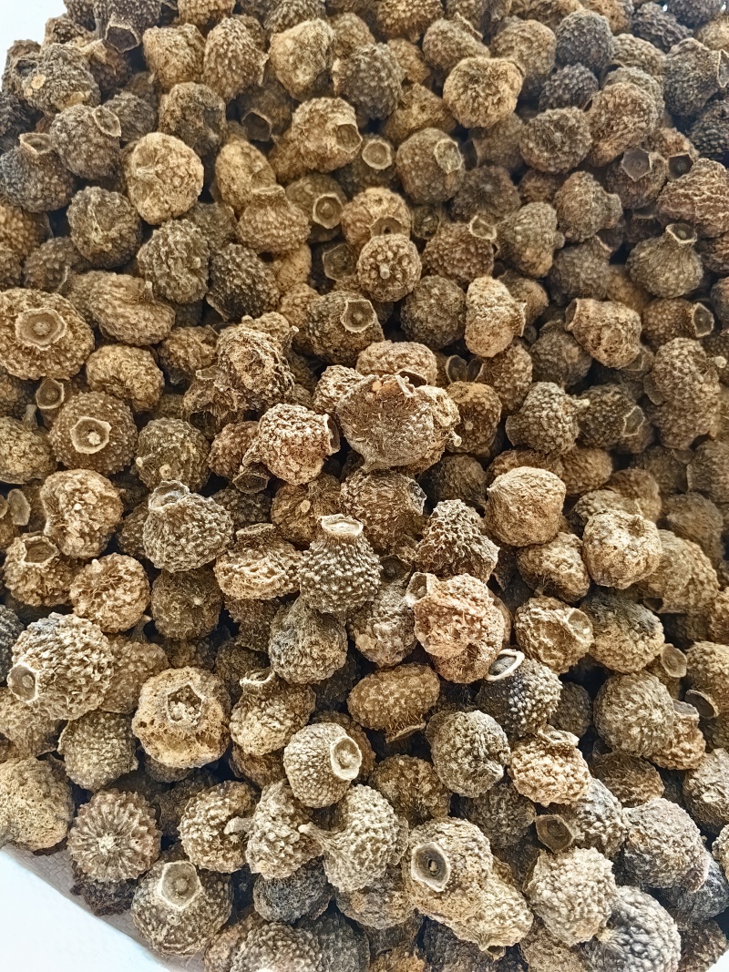 刺梨干果批发刺梨干产地一手货源可供实体店