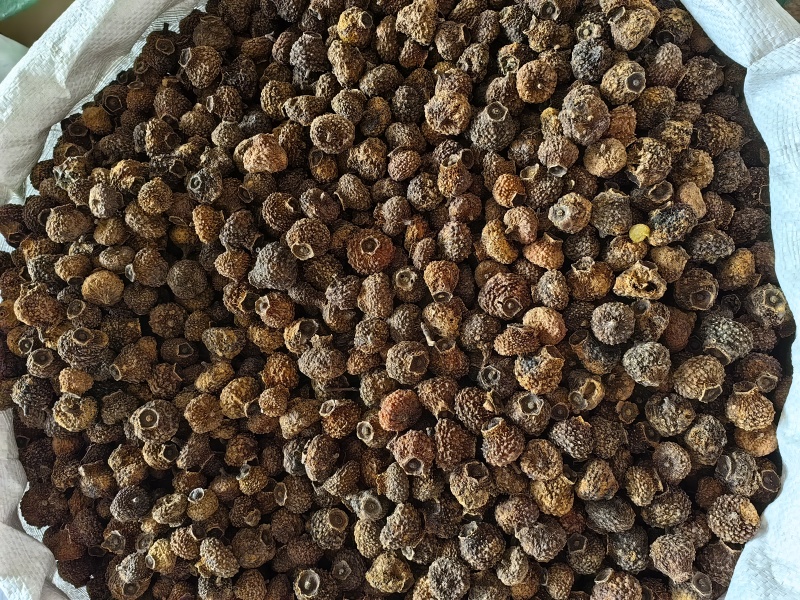 刺梨干果批发刺梨干产地一手货源可供实体店