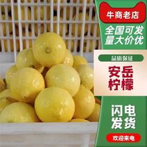 四川安岳柠檬基地直发大中小通货榨汁果批发货源充足品质保证