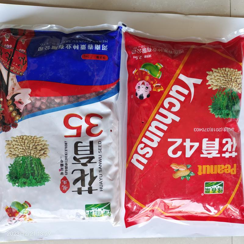 花生种子手工剥米花生米5斤原包装