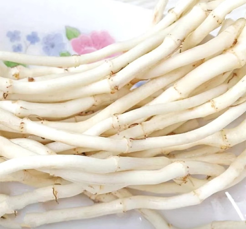 鱼腥草嫩根折耳草当季节嫩根鲜嫩脆爽保质保量包邮