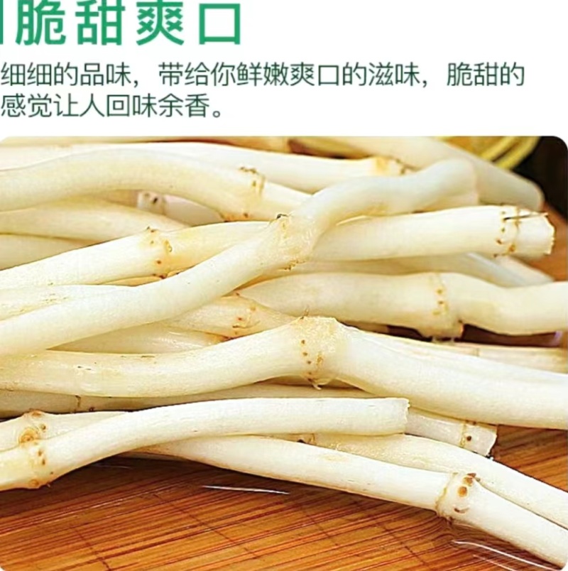 鱼腥草嫩根折耳草当季节嫩根鲜嫩脆爽保质保量包邮