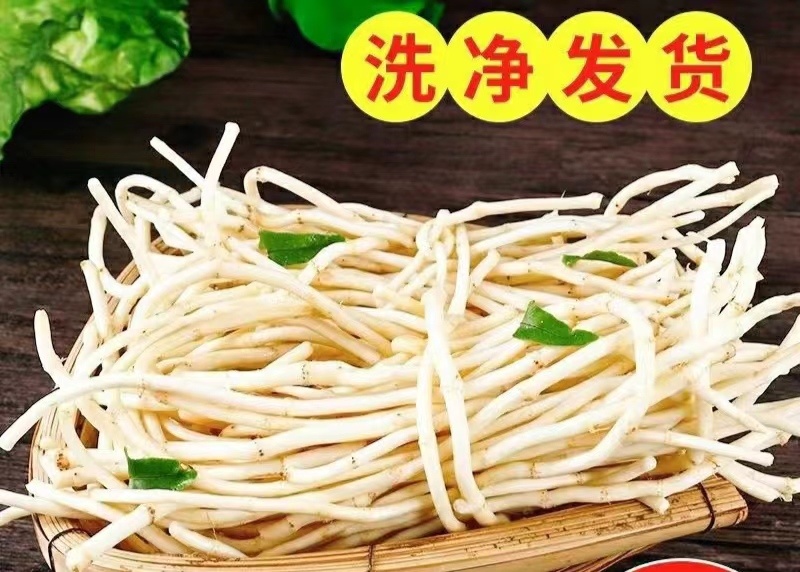 鱼腥草嫩根折耳草当季节嫩根鲜嫩脆爽保质保量包邮