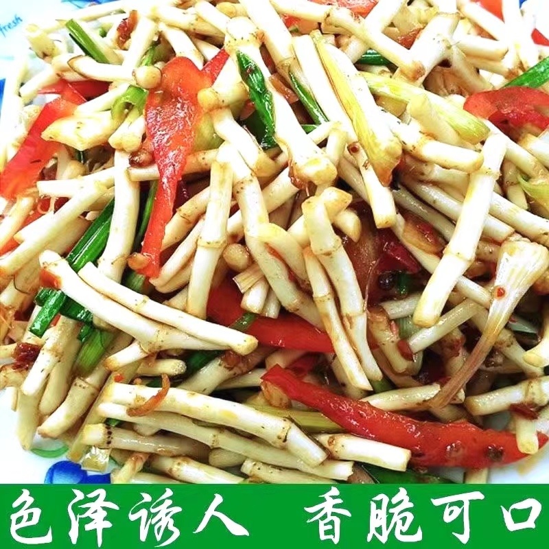 鱼腥草嫩根折耳草当季节嫩根鲜嫩脆爽保质保量包邮