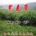 多年生黑麦草种子四季牧草种子高产多年生四季常青冻不死草种