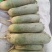 滕州精品水果萝卜大量有货，质量好，量大从优