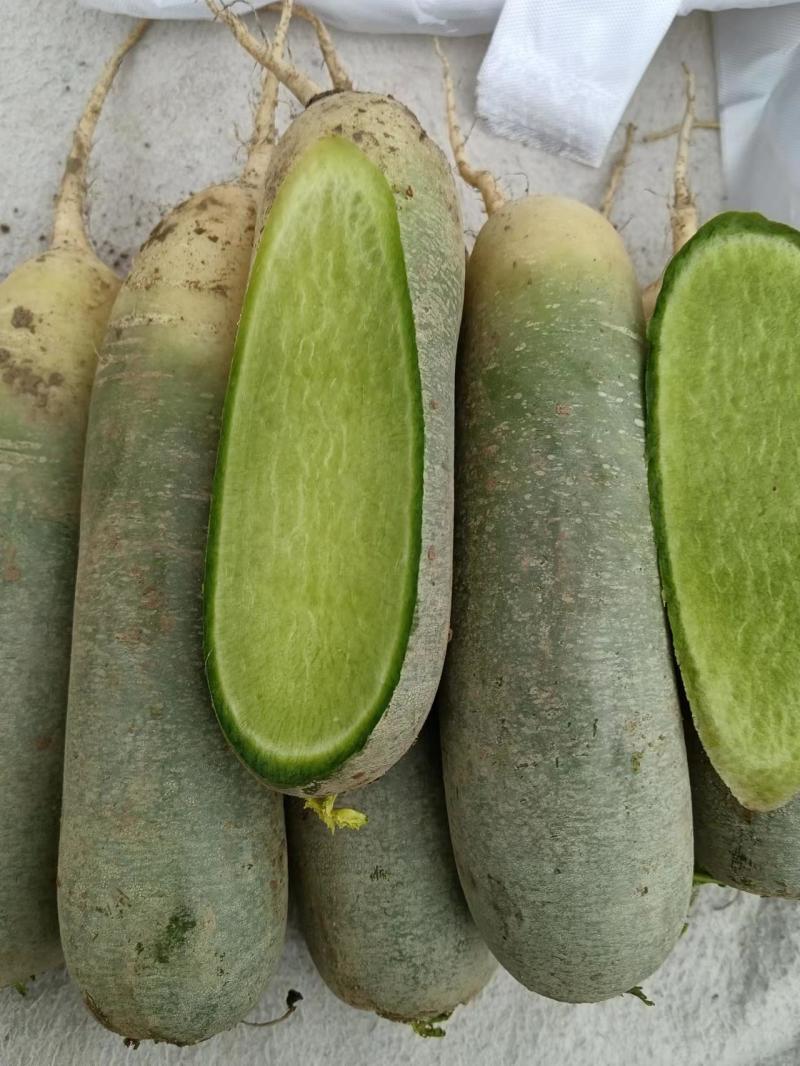 滕州精品水果萝卜大量有货，质量好，量大从优