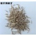 紫羊茅种子紫羊茅草种草籽紫羊毛种子四季常青护坡紫羊茅草坪