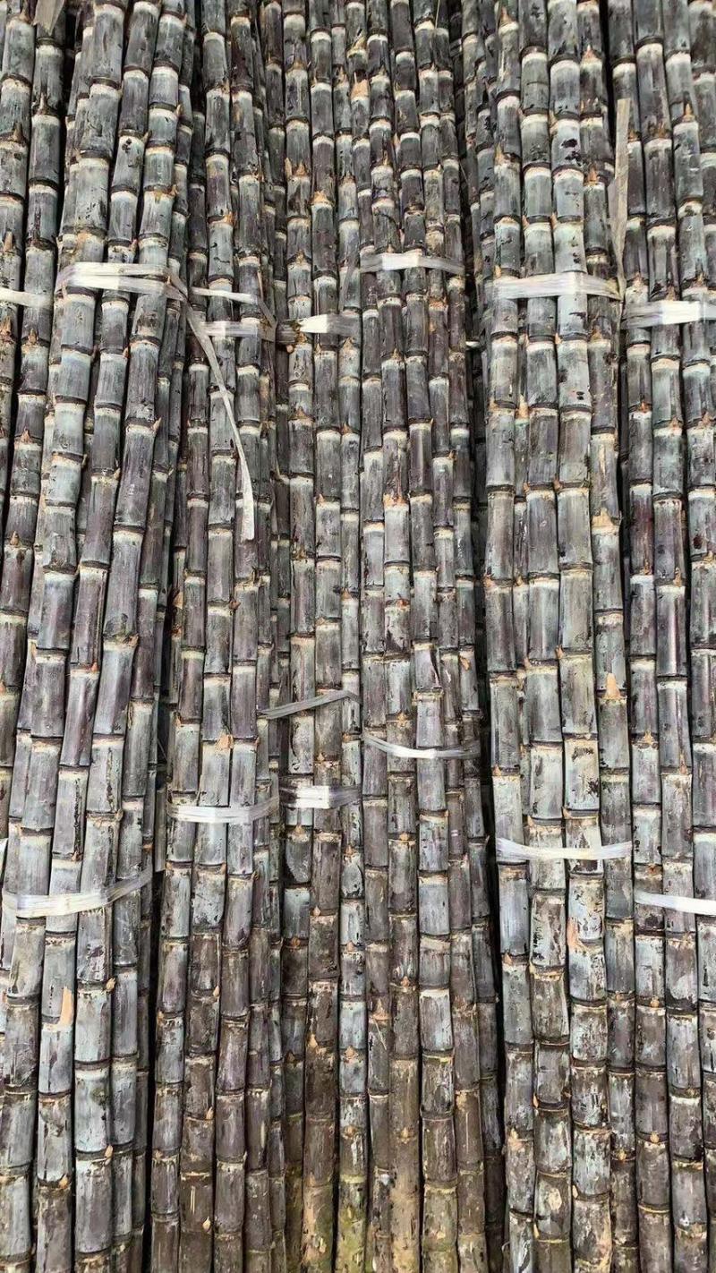 【产地直供】精品黑皮甘蔗，云南黑皮甘蔗大量现货，现砍现发