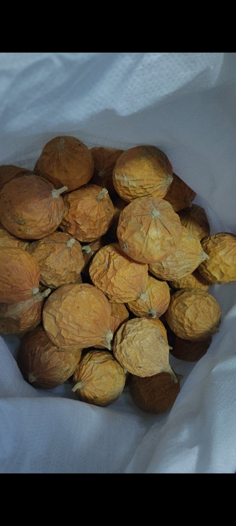 瓜蒌干货栝篓实瓜蒌个子各种规格欢迎选购！
