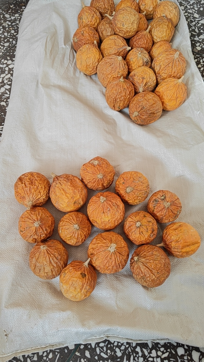 瓜蒌条干货栝篓实瓜蒌切条各种规格欢迎选购！