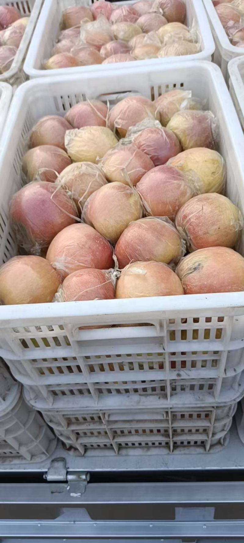 沙地长枝，红富士苹果，囗感脆甜