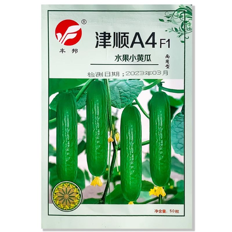绿如意黄瓜种子强雌性水果型黄瓜种子一叶一瓜抗病高产大田用