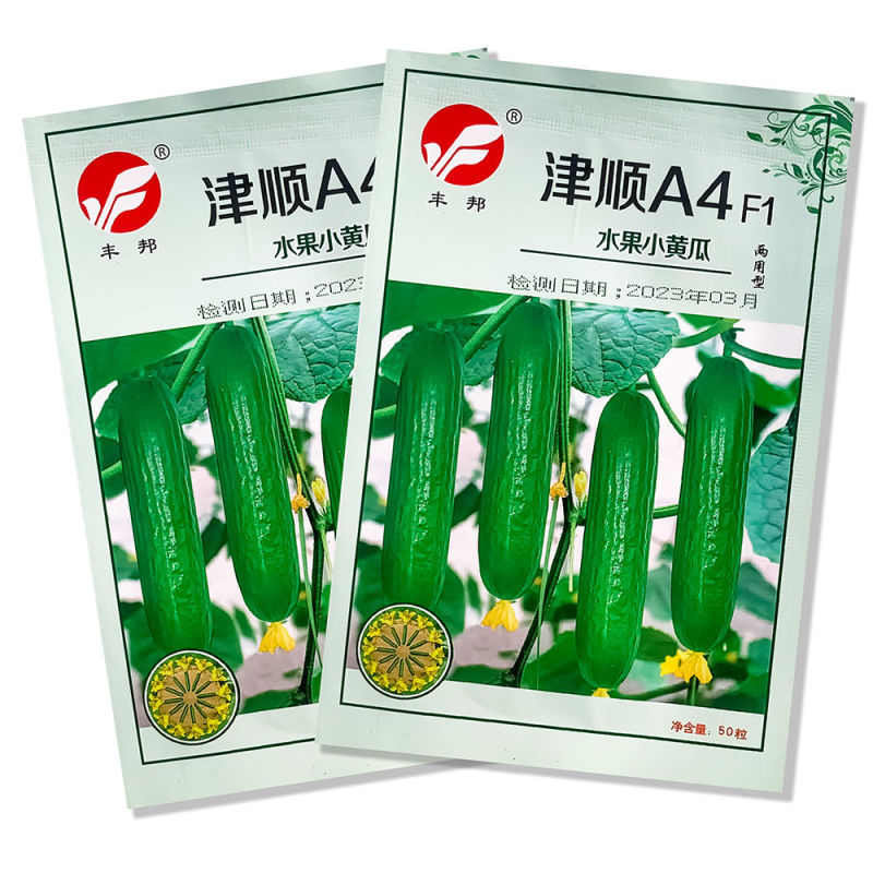 绿如意黄瓜种子强雌性水果型黄瓜种子一叶一瓜抗病高产大田用