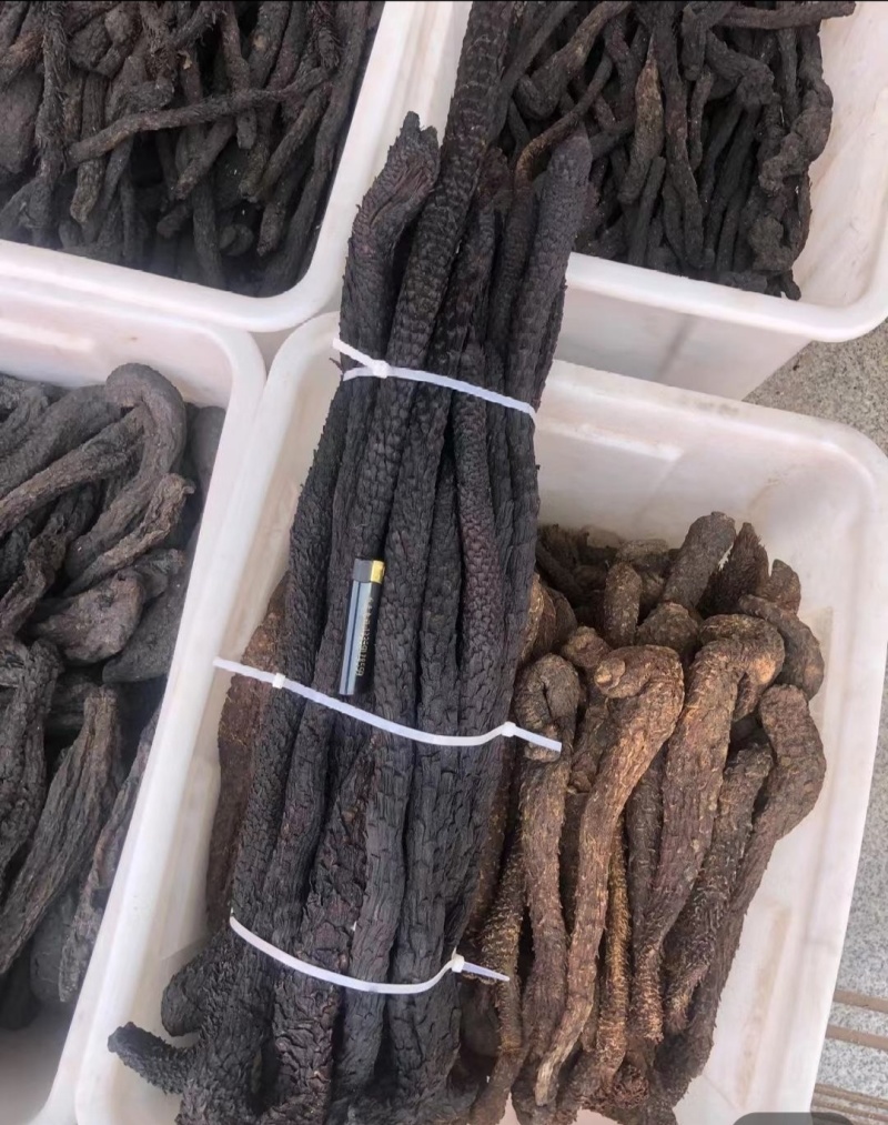 肉苁蓉中药根茎类中药材，量大从优欢迎联系全国可发质量保证